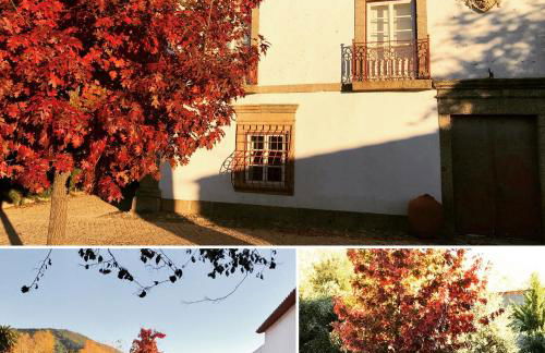 Quinta da Porta - Solar de Vale de Prazeres - Foto 16