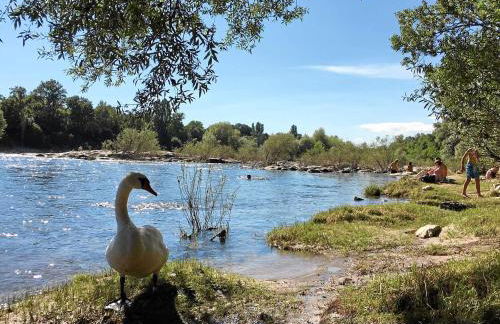 Mariposa Apartamento - Foto 27