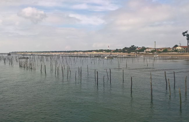 Les Calicots Sanguinet - Photo 20