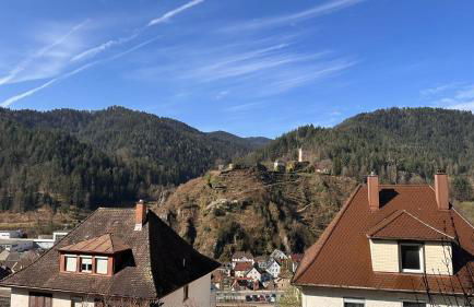 Schwarzwaldraum Schlossblick - Foto 20