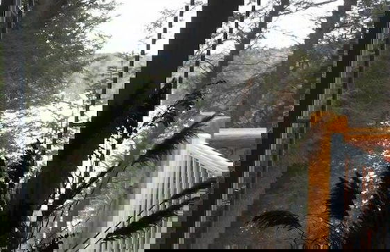 Chalets au Lac Pointe-au-Chêne - Foto 67