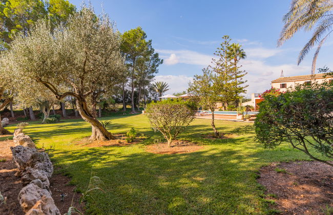 Ses Sitjoles - Foto 17