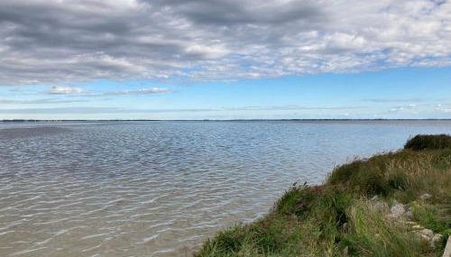 Ferienhaus am Hafen - Foto 3