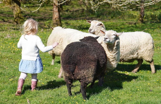 3-bed Cottage - Sleeps 5, Riverside, Hot Tub, Pets - Foto 17