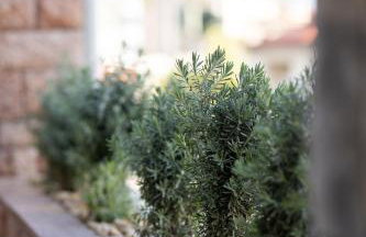 La Terra Nostra city - Foto 71