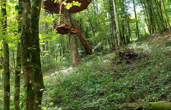 L'Arbre à Cabane - Foto 49