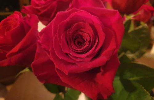 Chez Émile maison d'hotes 2 chambres avec jardin privé - Foto 47