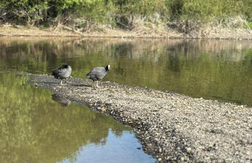 Ferienwohnung Sorpeblick - Foto 18