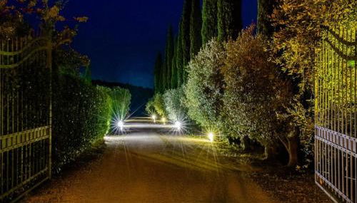 Ghiaccio Bosco - Foto 4