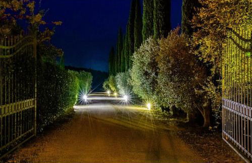 Ghiaccio Bosco - Foto 4