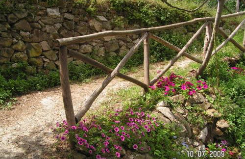 Gli Ulivi Agriturismo - Foto 118