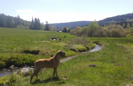 Ferienwohnung GABI - Foto 35