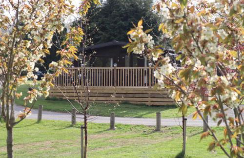 HEDDFAN, Luxury 3 bedroom timber lodge, Now with WiFi, Caer Beris Holiday Park, Builth Wells, SORRY NO TRADESMEN OR CONTRACTORS ALLOWED - Foto 23