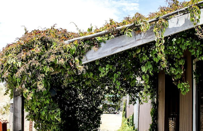 Posada San Antonio - Foto 28