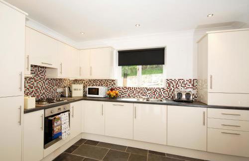 Woodpecker-Qc1186 - Foto 9