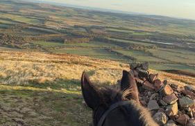 Stewards Bothy - Foto 51