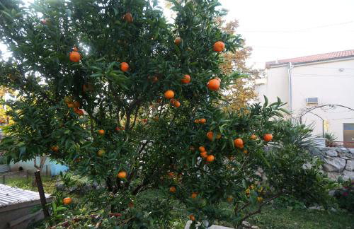 A&M Apartments - Foto 9