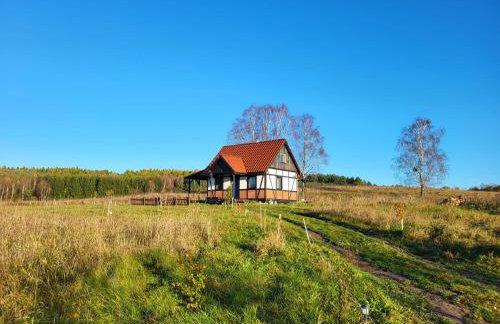 Dom Malarki - Foto 10