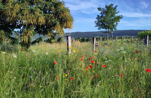 Ti's Herberge - Foto 7