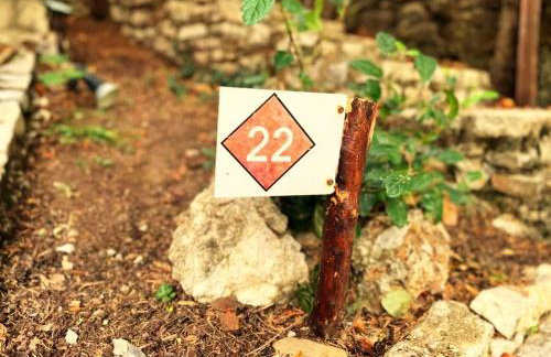 Pinecone Lodge, Eptalofos Wellness Garden Chalet - Foto 42