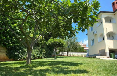 Apartman Luna - Foto 6