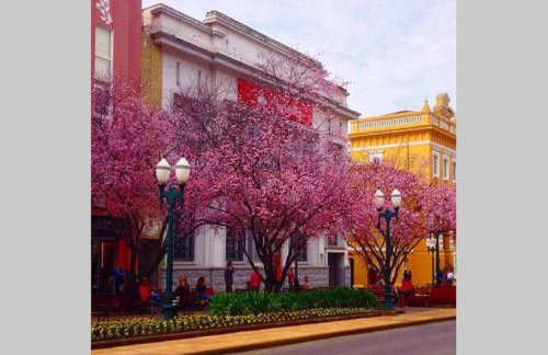 Casa das Palmeiras + Quiosque - Foto 60