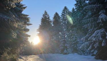 Ferienhaus „Schlupfwinkel“, kostenloser Parkplatz, Vollausstattung - Foto 3