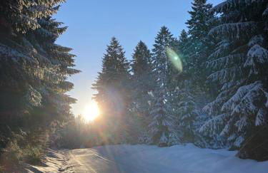 Ferienhaus „Schlupfwinkel“, kostenloser Parkplatz, Vollausstattung - Foto 3