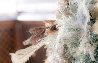 Drago by AGM Resorts - Foto 52