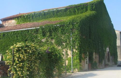 Agriturismo Cà Rossa - Photo 26