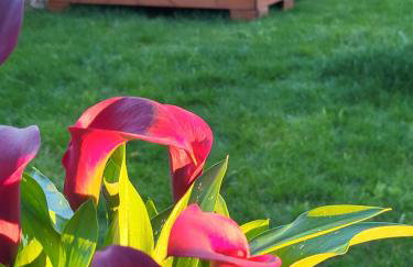Kallistis Home - Foto 45