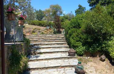 Casolare il Moro - Foto 67