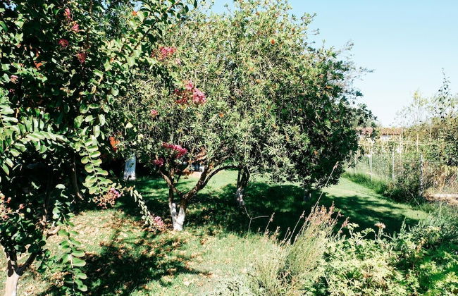 Beautiful Village Bungalow - Foto 33