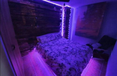 Paraíso Desconocido 2 El Bosque Encantado - Foto 7