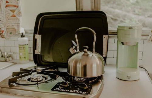 Streamside ShinyTiny Airstream in the Smokies - Foto 5