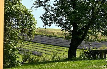 Lawendowa farma Home&Spa - Foto 42