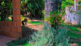 LUMA - Casa de Hospedaria - Foto 3