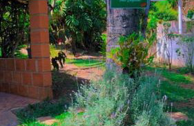 LUMA - Casa de Hospedaria - Foto 3