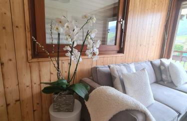 Luxury holidays apartment Praz sur Arly - Foto 9