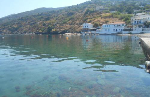 The House on the Coast - Photo 30