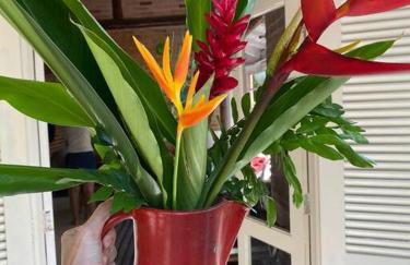 Casa charmosa em Juquehy cercada de verde, 2 quartos com churrasqueira - Foto 33