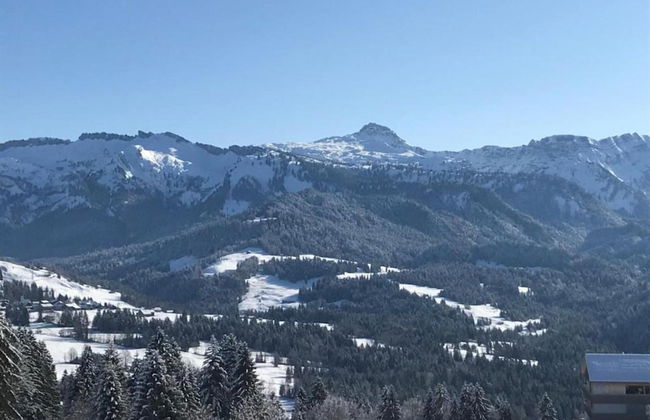 Dog-friendly Chalet in Bregenzerwald - Photo 38