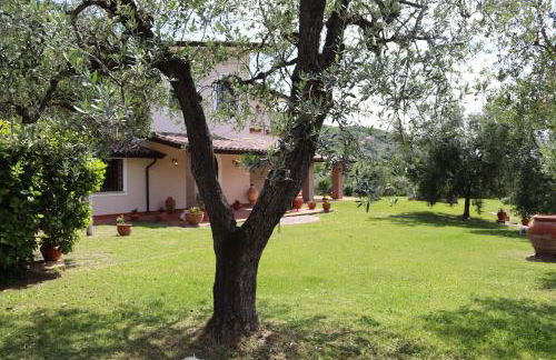 Azienda Agricola Il Bagolaro - Foto 61