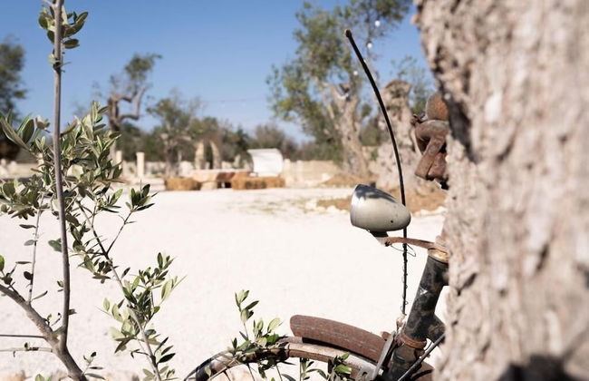 Tenuta Puloni - Foto 33