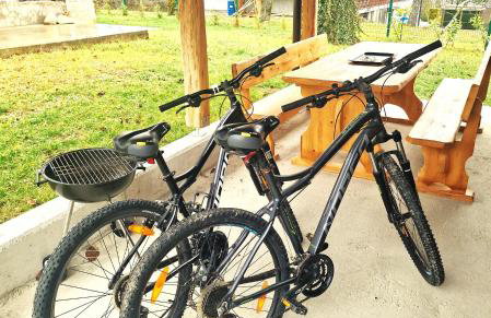 Hižica v plavem trnacu 1 - Foto 15