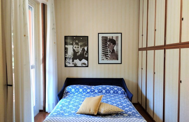 Pettirosso - Photo 4