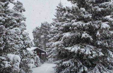 Chalet de montaña - Foto 52