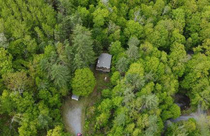Cabin on the hill Ascutney - Foto 3