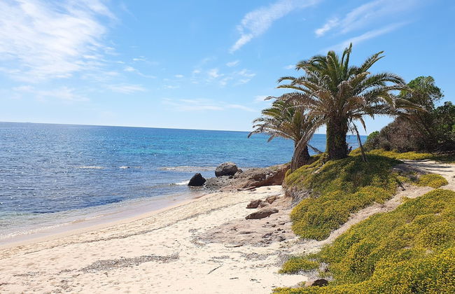 Agriturismo Corte Degli Ulivi - Foto 57