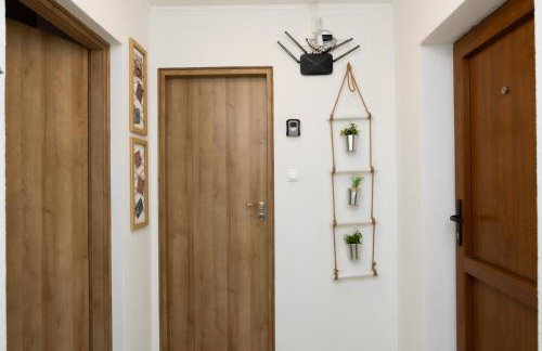 Apartman oak Nikola's lamp - Photo 28
